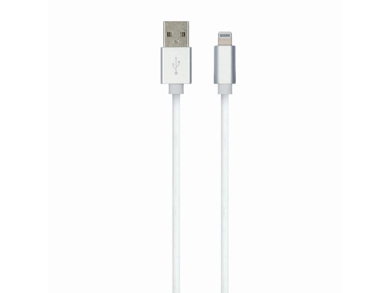 Carpoint Câble USB USB>Lightning 1m